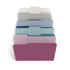 TRU RED™ File Folders, 3-Tab, Letter Size, Assorted Jewel Tone Colors, 24/Pack (TR58171)